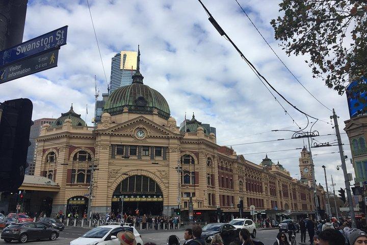Excursion privée d'une journée complète à Melbourne avec des rencontres koala enchanteresses.