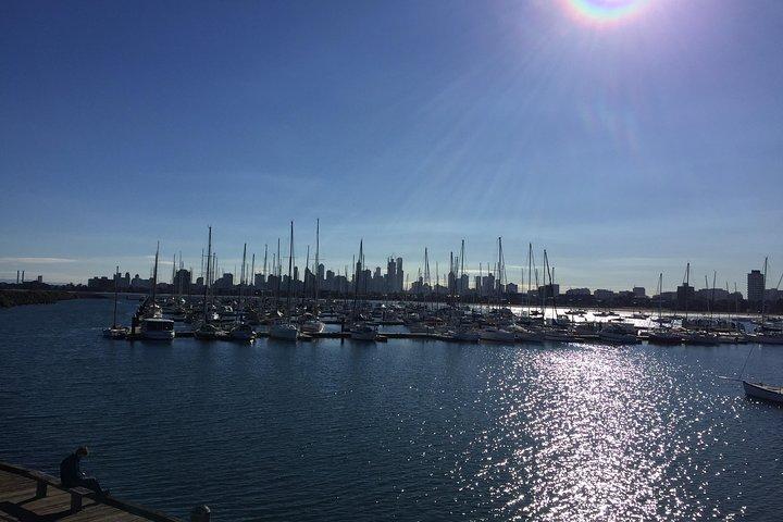 Excursion privée d'une journée complète à Melbourne avec des rencontres koala enchanteresses.