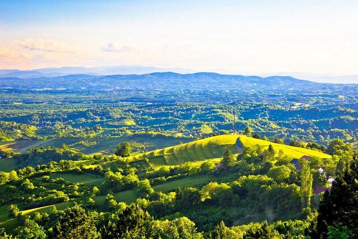 The Dionysus Tour - Degustação de vinhos em Plešivica e visita a Samobor
