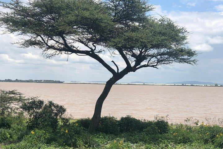 Day Trip To Lake Ziway