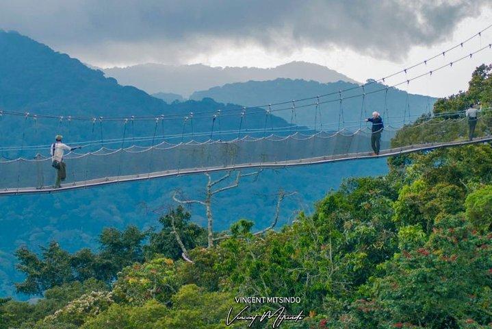 One Day Zipline Adventure, Caminhada por Canopy, Caminhada pela natureza (2 Pax Min)