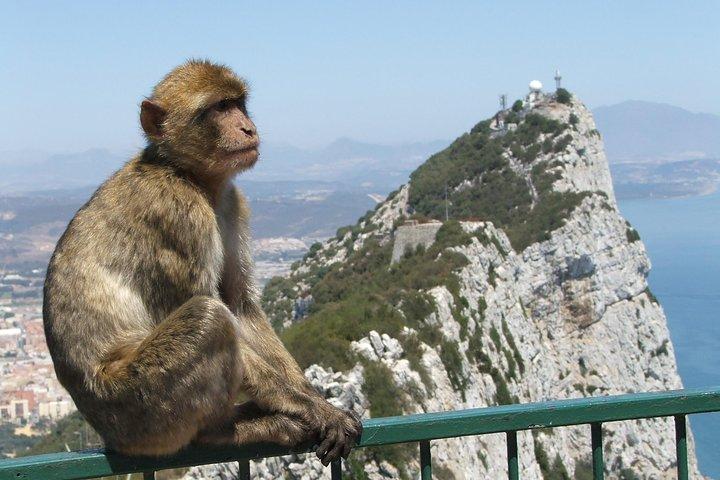 Excursão privada de dia inteiro em Gibraltar, Marbella e Puerto Banus saindo do Malaga Hotel