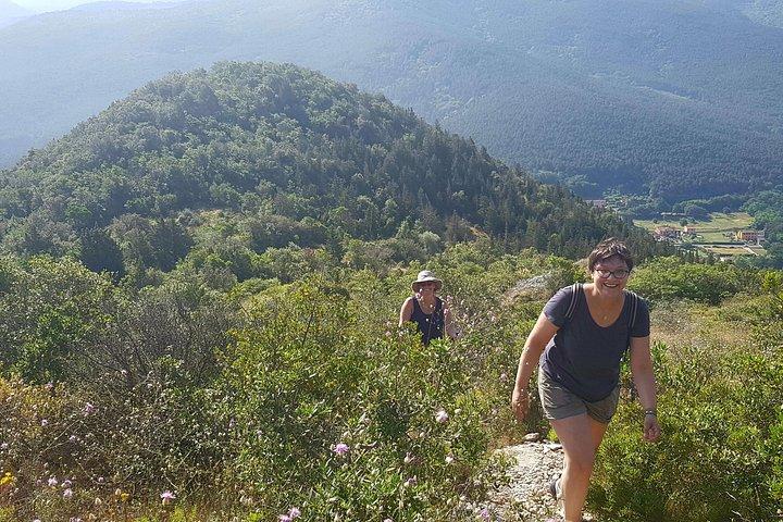 The morning Hike
