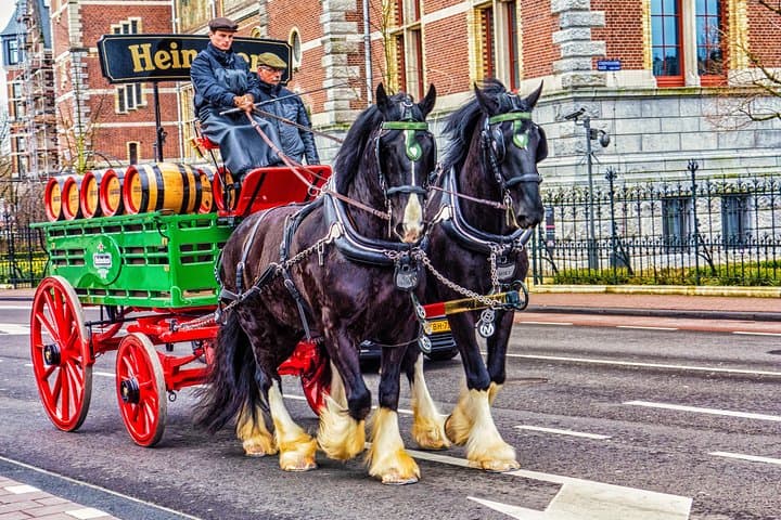 Amsterdam Like a Local: Private & Personalized Experience 2-4 hrs