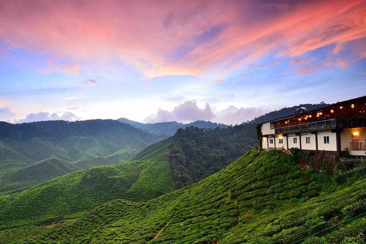 Excursão de dia inteiro a Cameron Highlands