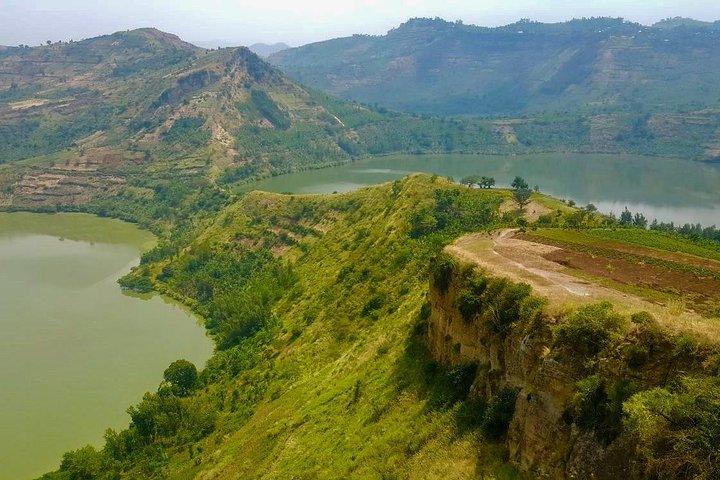 6 Tage Gorilla Tracking und Wildlife Safari