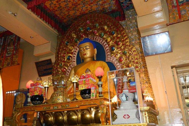Dharamshala: Excursão turística à cidade em um dia inteiro