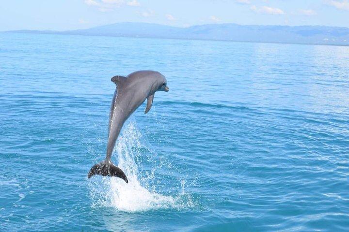 3-tägige Sightseeingtour von Treasure Beach und Negril ab Montego Bay