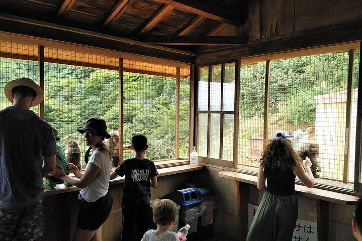 京都嵐山＆金閣寺1日ウォーキングツアー