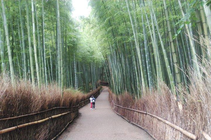 京都嵐山＆金閣寺1日ウォーキングツアー