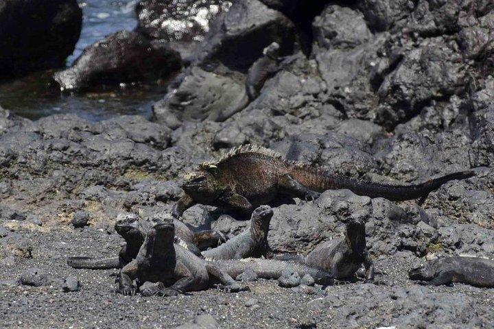 6 días de viajeros activos por la isla