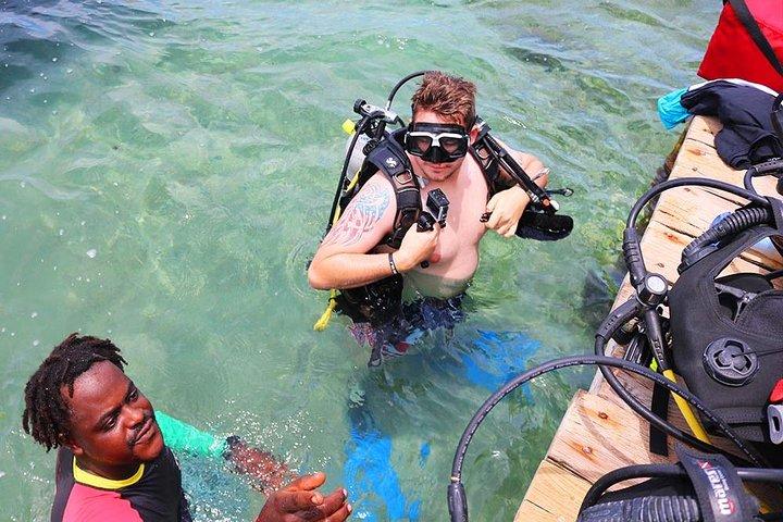 Roatan 1 Tank Certified Dive, Sloth Monkey Park, plus Shuttle