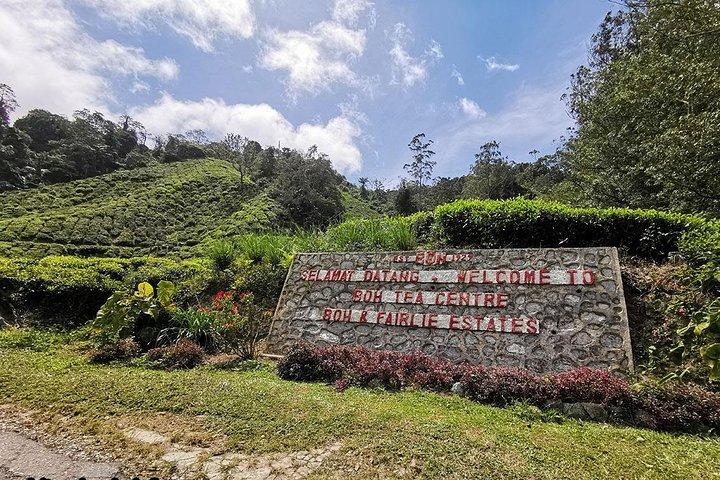 Cameron Highlands og Batu Caves Heldagstur