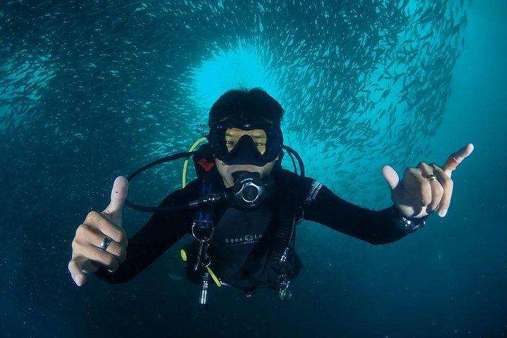 Koh Samui 2-Dive Trip to Sail Rock for certified divers