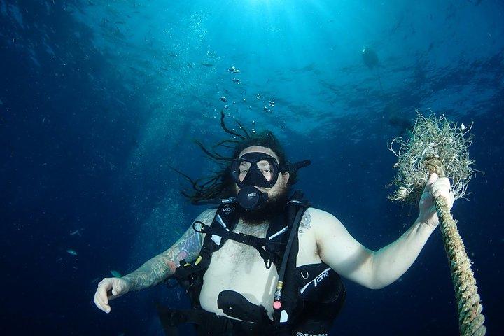 チュムポーンピナクル-タオ島2ダイブトリップ（認定ダイバー）