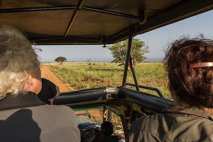 4-daagse safari in Amboseli NP- Tsavo West NP-Tsavo East NP.