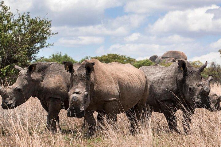 4-daagse safari in Amboseli NP- Tsavo West NP-Tsavo East NP.