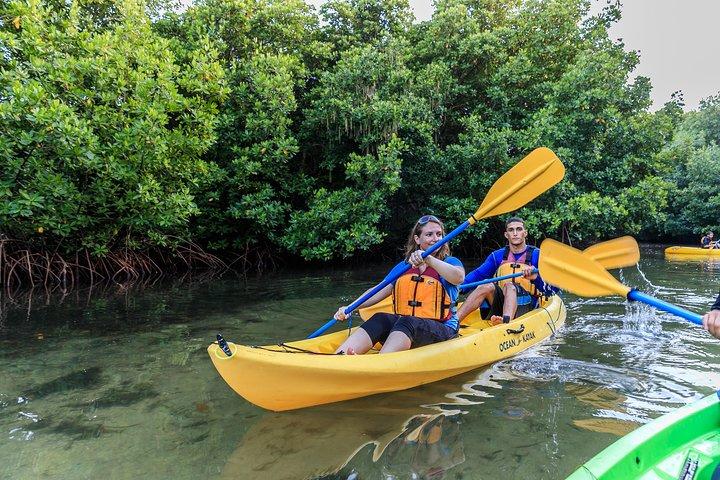Bio Bay Kayak de nuit avec transport de la région de San Juan