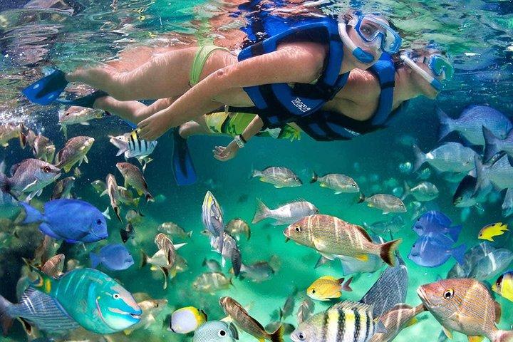 All-inclusive catamaran tour naar Isla Mujeres met snorkelen voor de beste prijs