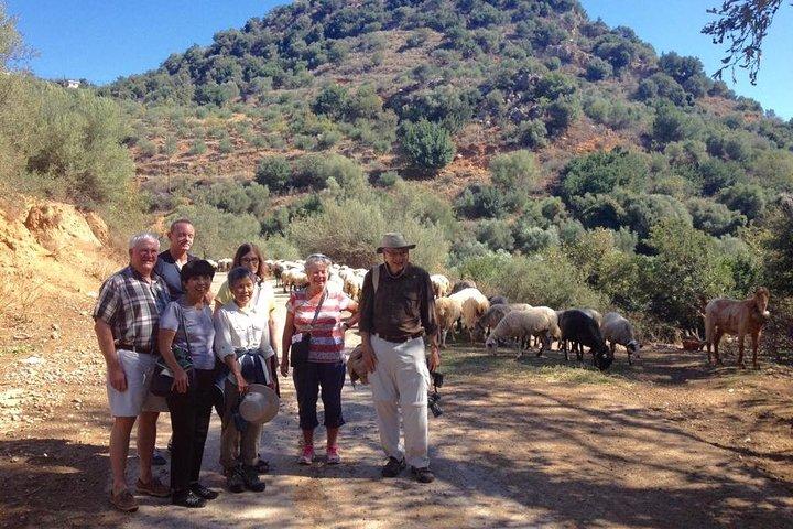 Upplev de traditionella byarna Chania