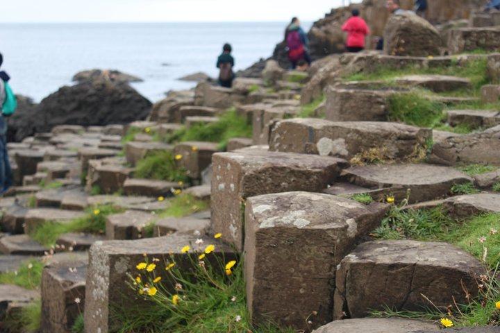 Tour di un giorno del Trono di Spade e del Giant's Causeway da Belfast