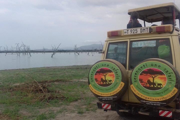 Viaje a Tanzania Increíble Tarangire Ngorongoro y Manyara