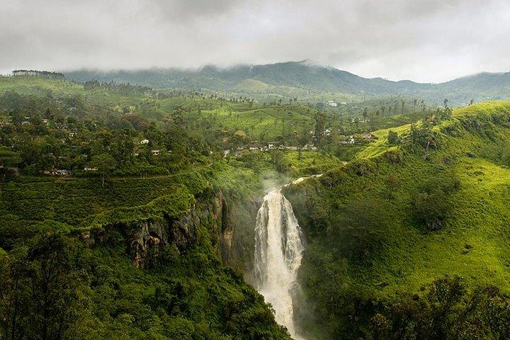 Visite privée d'une journée de Kandy à Nuwara Eliya