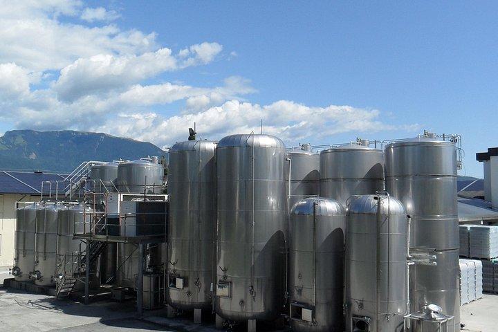 Experiência privada de vinho Prosecco Hills