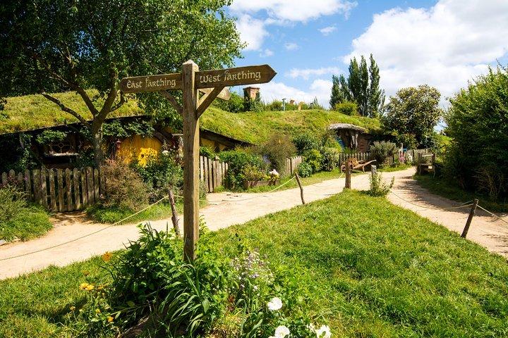 Lyx Rundtur i liten grupp från Auckland till Hobbiton