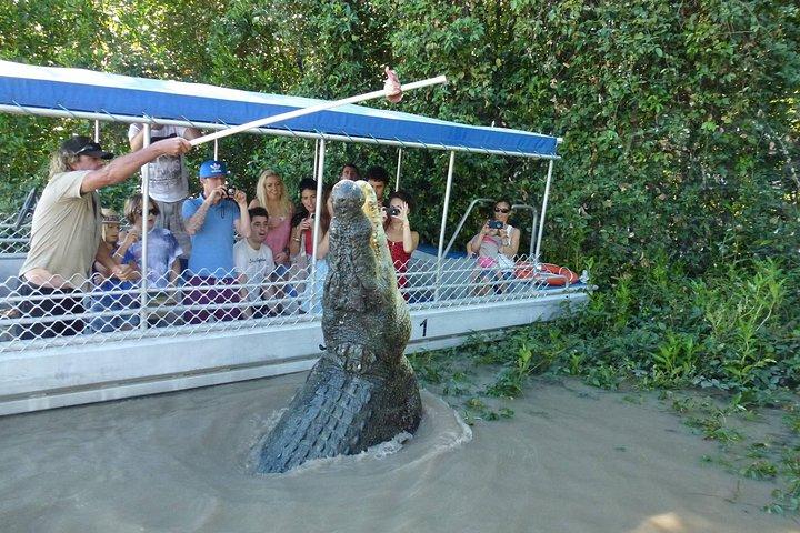 Cruzeiros do Rio Adelaide - Jumping Crocodile Experience