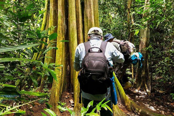 Parque Nacional Nam Cat Tien 2 Dias 1 Noite