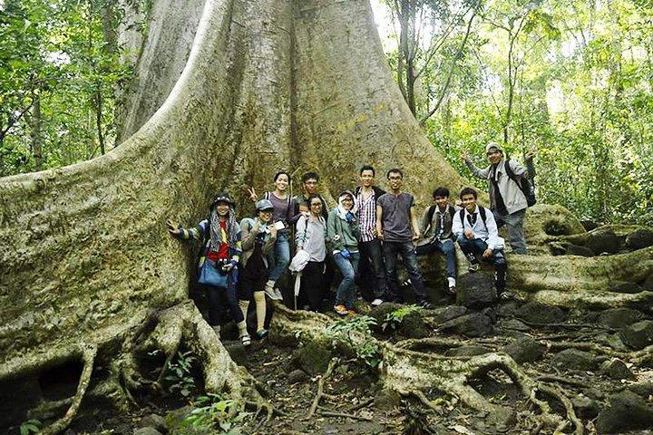 Parque Nacional Nam Cat Tien 2 Dias 1 Noite