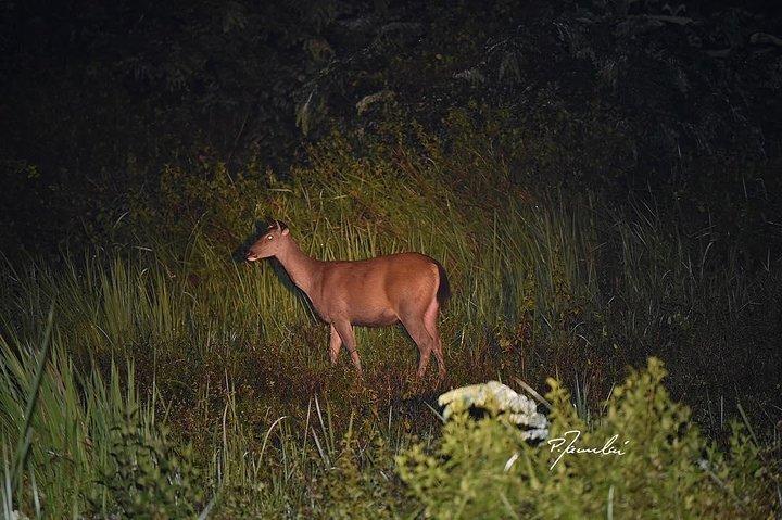Parque Nacional Nam Cat Tien 2 Dias 1 Noite