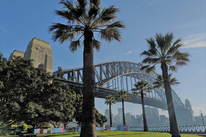 Sydney Shores e Suburbs - Watsons Bay e Bondi Beach Tour