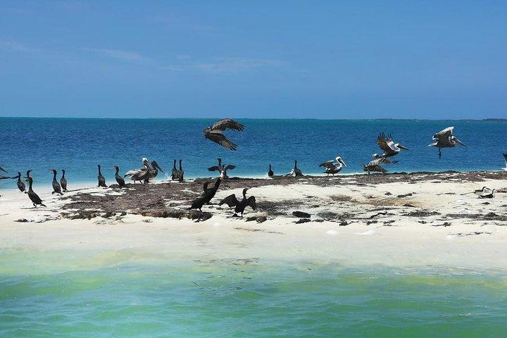 3島のボートでシュノーケル、イスラブランカ、コントイ、ムヘーレス