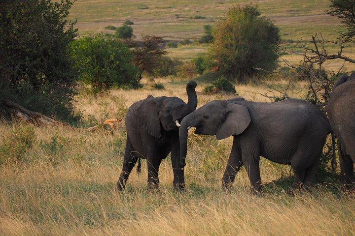 4 Days Amboseli Naivasha