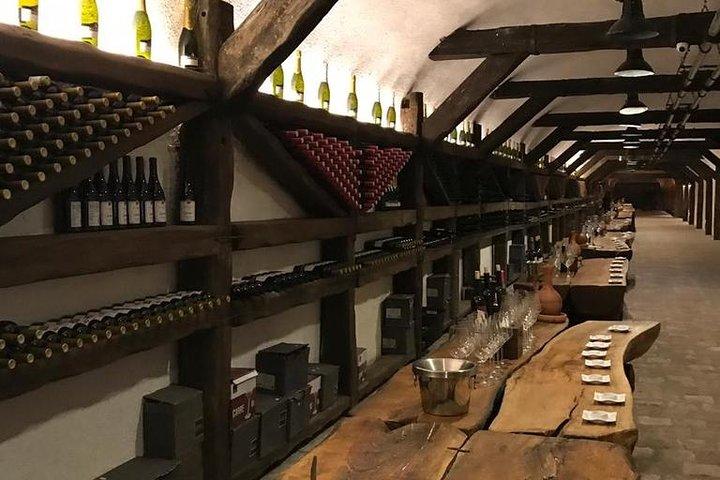 Hela dagen privat vintur i Kakheti-regionen med lunch och 3 vinprovningar