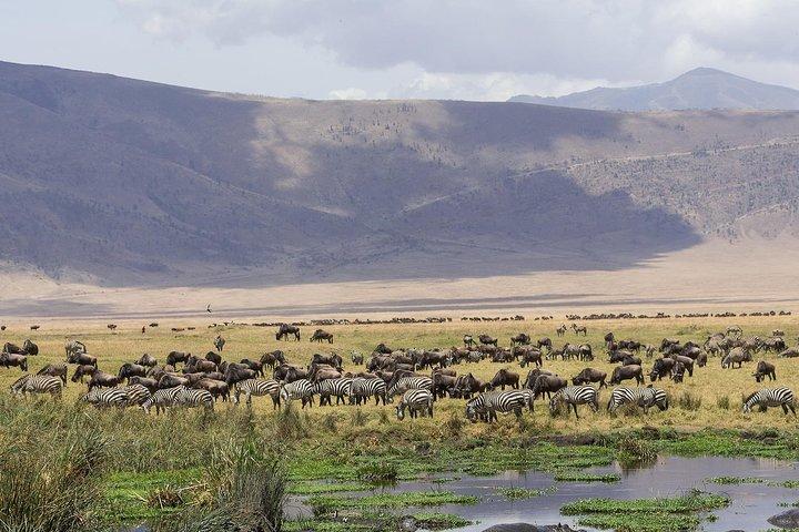 3 dagen safari naar Tarangire, Lake Manyara en Ngorongoro-krater