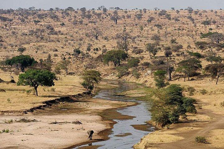 3 dagen safari naar Tarangire, Lake Manyara en Ngorongoro-krater