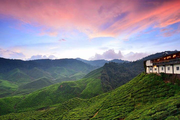 Cameron Highlands a Kuala Lumpur