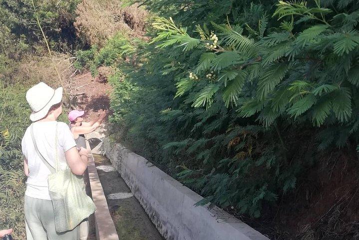 Levada Serra D'Agua