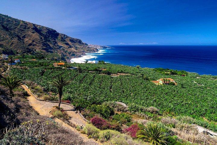 Teneriffa Nord Private Tour: Durch Dörfer und Häfen