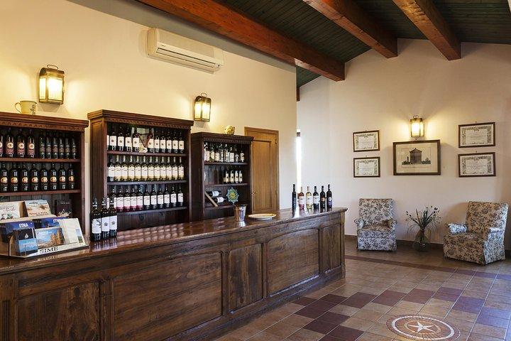 Etna DOC & Organic Wine tasting and tour of the 1815 historic winery