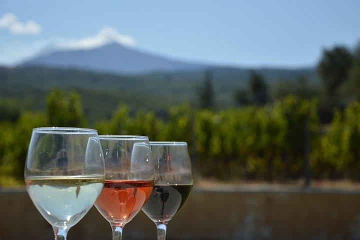 Etna DOC & Organic Wine tasting and tour of the 1815 historic winery
