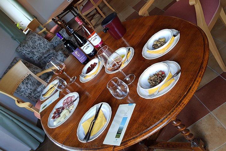 Etna DOC & Organic Wine tasting and tour of the 1815 historic winery