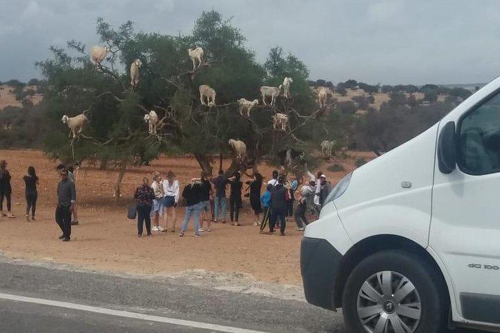 Eigener Transfer Agadir Marrakech.