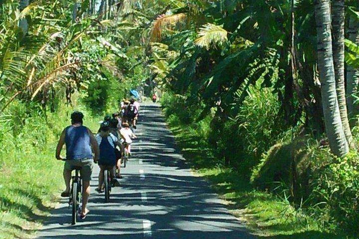 Bali Bike Ride Experience