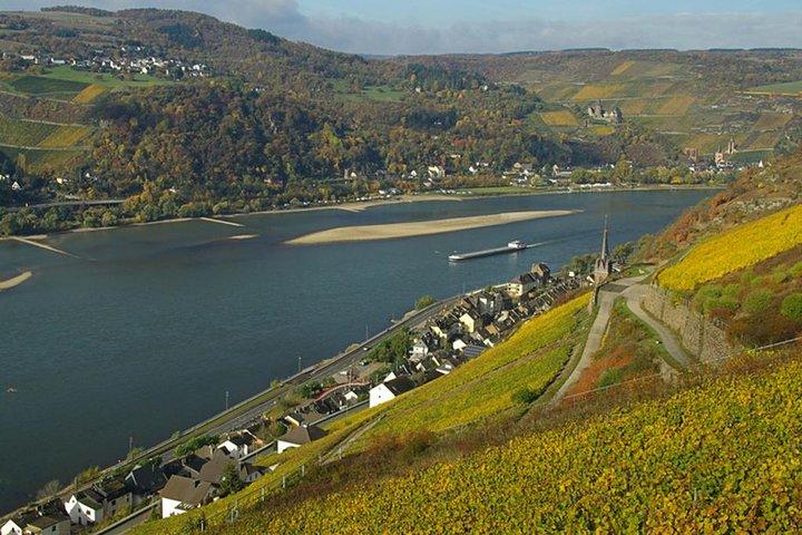 Rheintal-Reise ab Frankfurt