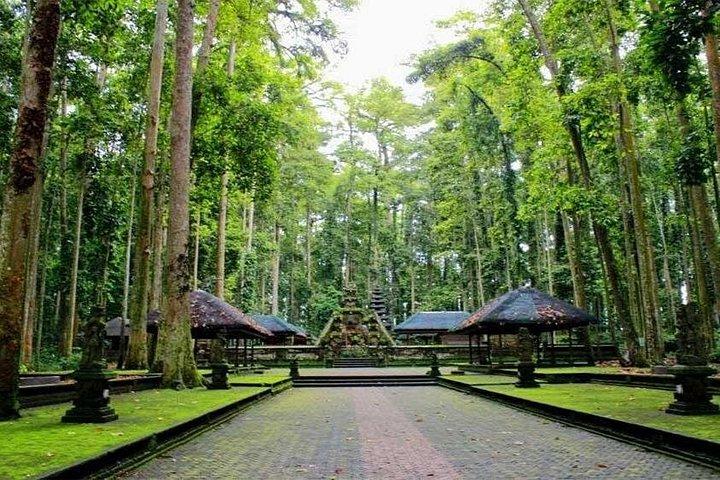 タマン アユン寺院、サンゲ モンキー フォレスト、ブランコ付き、移動と昼食
