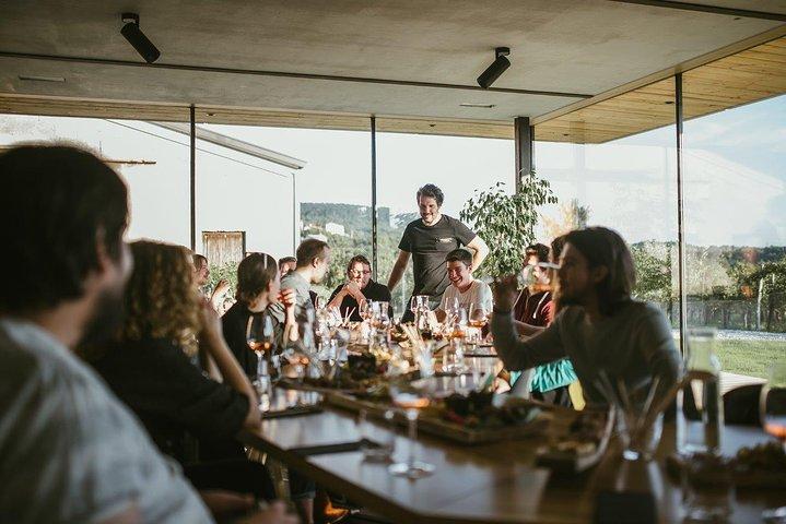 Vinsmagning med parringssnacks i Vipava Valley